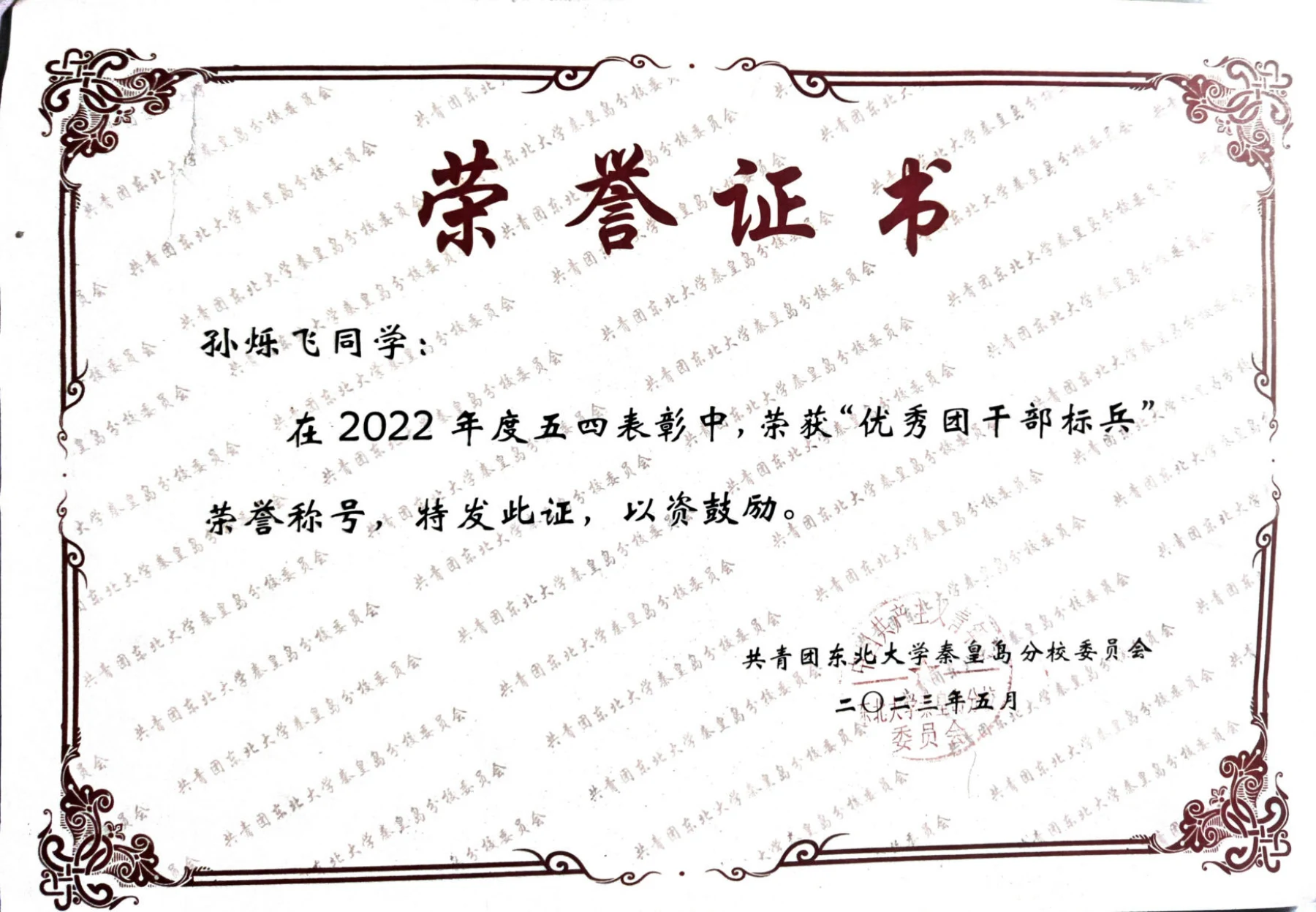 优秀团干部标兵 · 荣誉证书