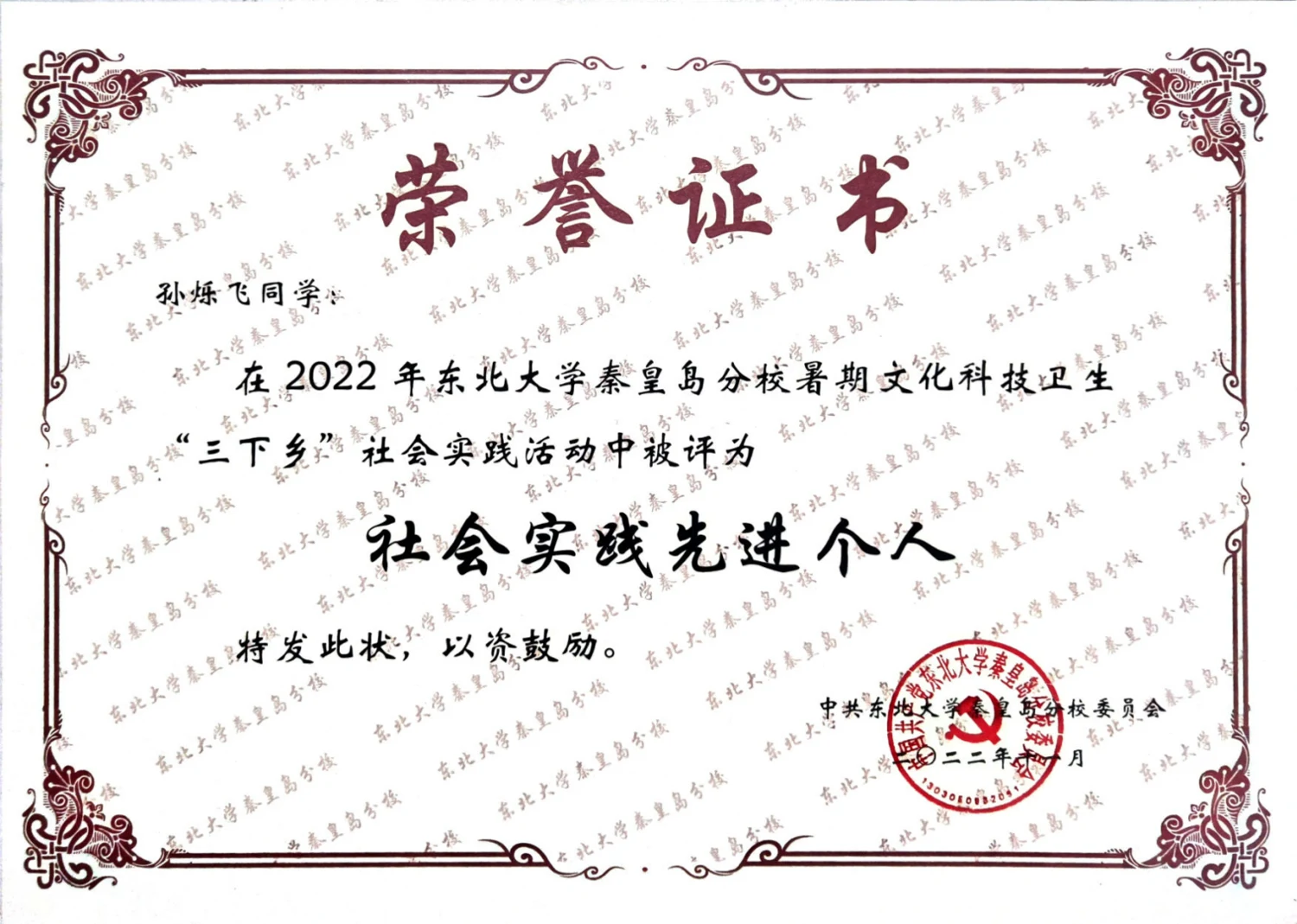 暑期社会实践先进个人 · 荣誉证书
