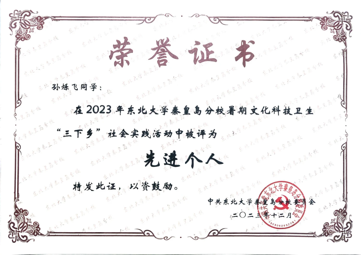 暑期社会实践先进个人 · 荣誉证书