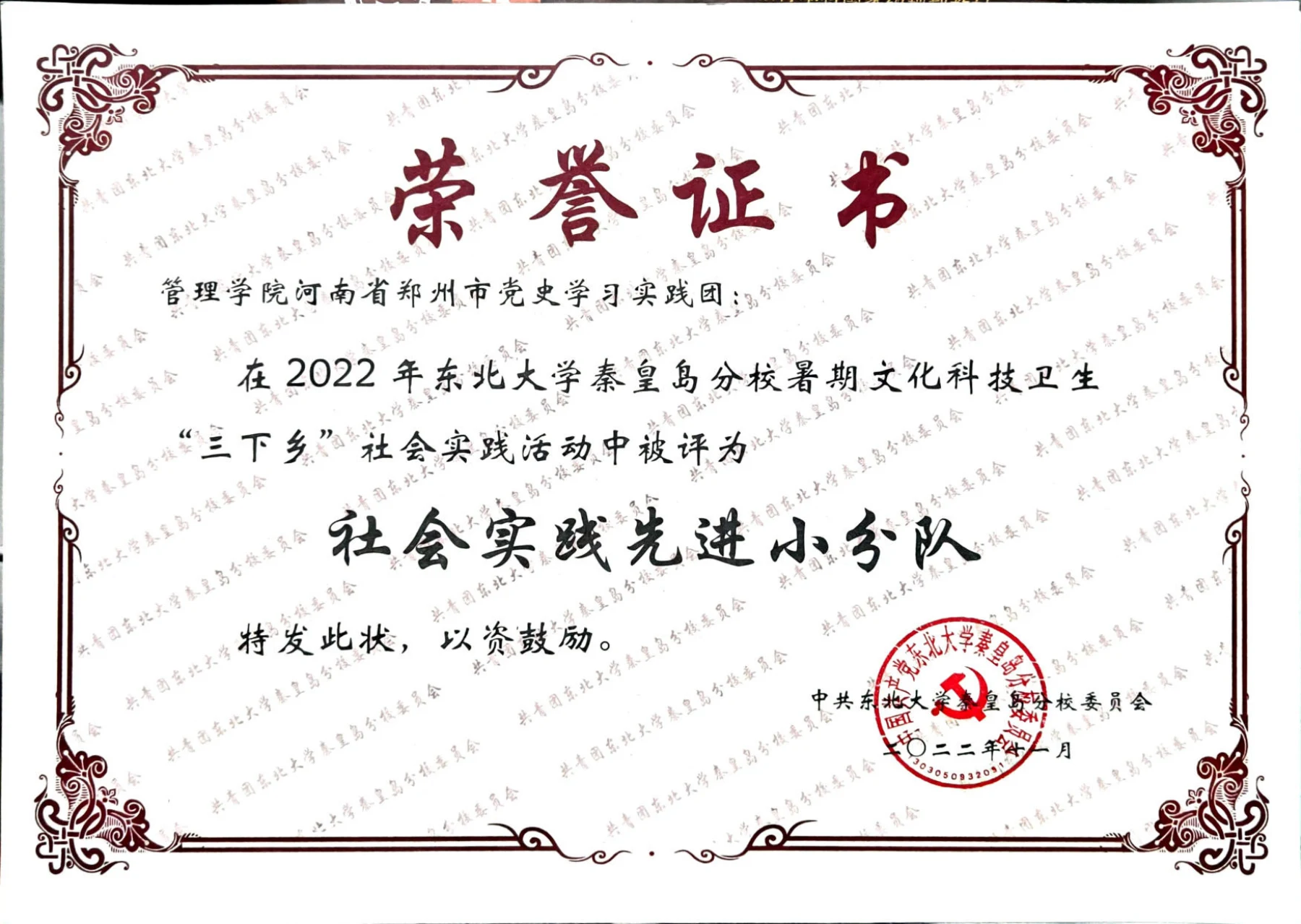 暑期社会实践先进小分队 · 荣誉证书