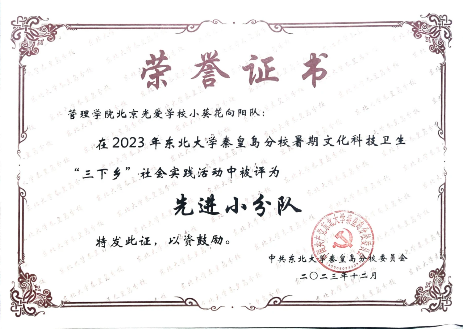 暑期社会实践先进小分队 · 荣誉证书